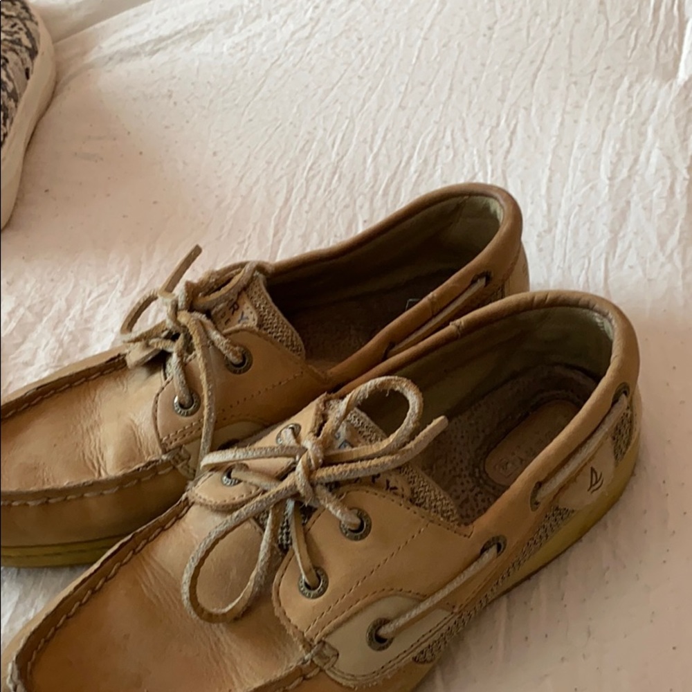 Sperry